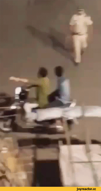 жалевич индия