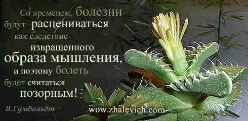 Буквица. Метафизика и астрософия буквицы