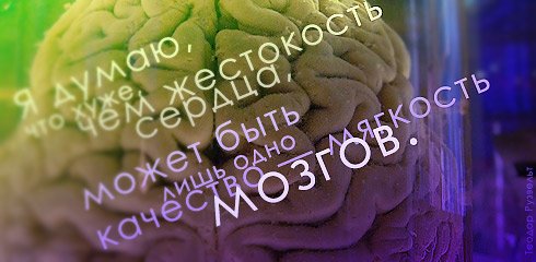 aforizm-110.jpg