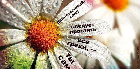 aforizm-232.jpg