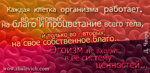 aforizm-298.jpg