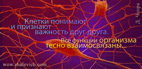 aforizm-301.jpg