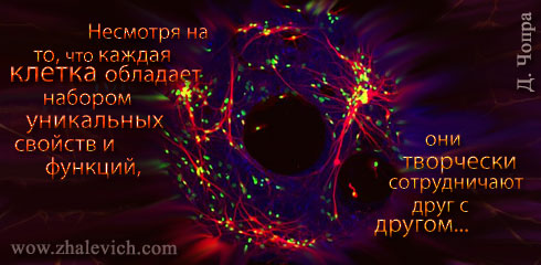 aforizm-302.jpg