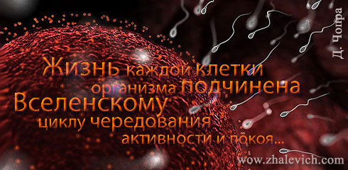 aforizm-303.jpg