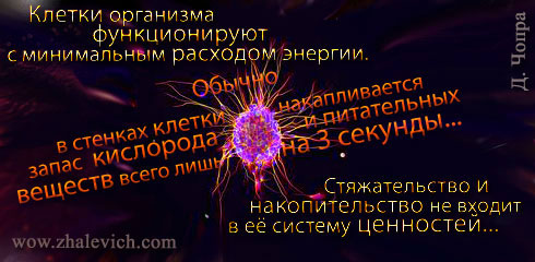 aforizm-304.jpg