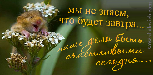 pozitiv-018.jpg