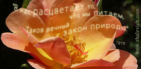 tat-2.jpg