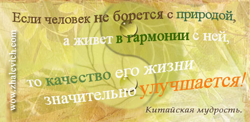 vek-01.jpg