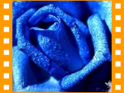 photo_klass_02.png