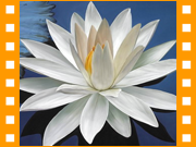 photo_klass_07.png