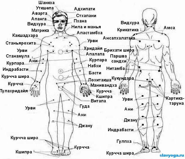 Мармы. Метафизика марм