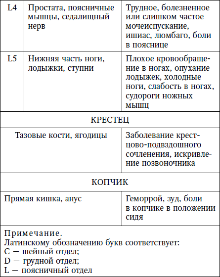 Позвоночник. Диагностические представительства и проекции (проекционные зоны, зоны монопунктуры) расстройств внутренних органов на позвоночнике