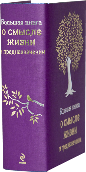 Большая книга о смысле жизни и предназначении (Как найти свой путь? Предназначение, призвание и смысл жизни