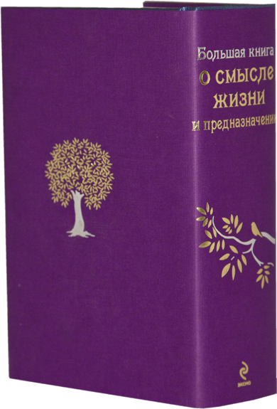 Большая книга о смысле жизни и предназначении (Как найти свой путь? Предназначение, призвание и смысл жизни