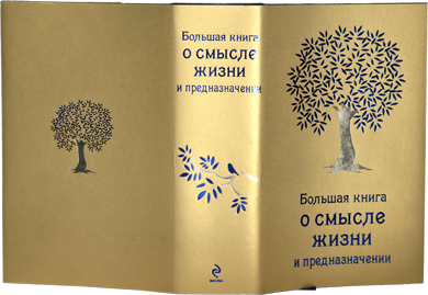 Большая книга о смысле жизни и предназначении (Как найти свой путь? Предназначение, призвание и смысл жизни